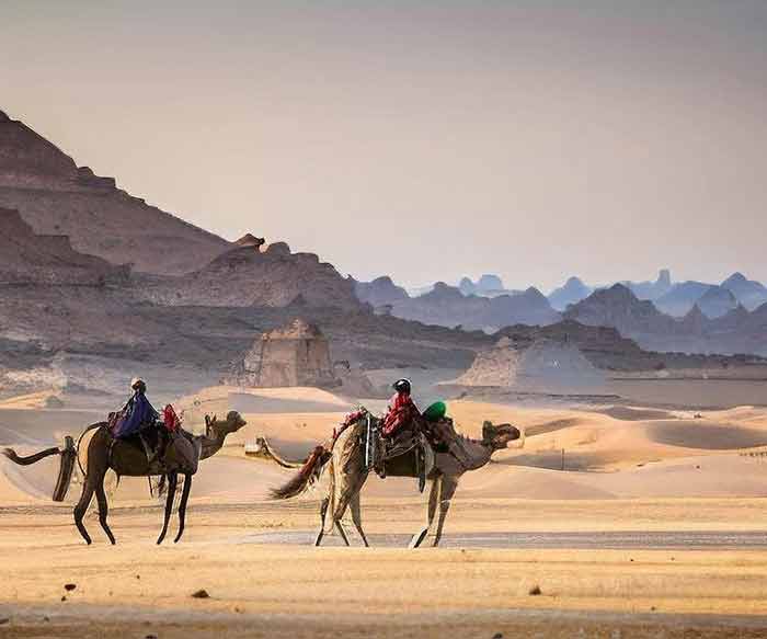 宁夏旅行社排名前十与银川口碑最佳旅行社全解析：附避坑指南