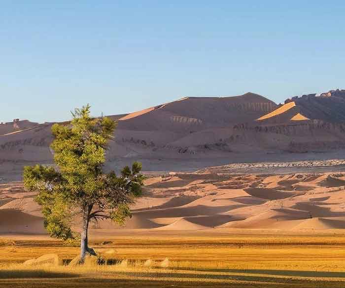 西北十大旅行社排名（2025最新版）：深度评测与避坑指南，教你如何挑选靠谱旅行社