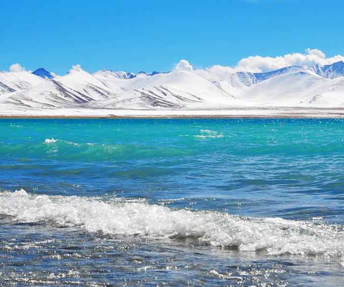 文旅认证！甘肃旅行社排名出炉，漫驼游客推荐率99%居行业首位