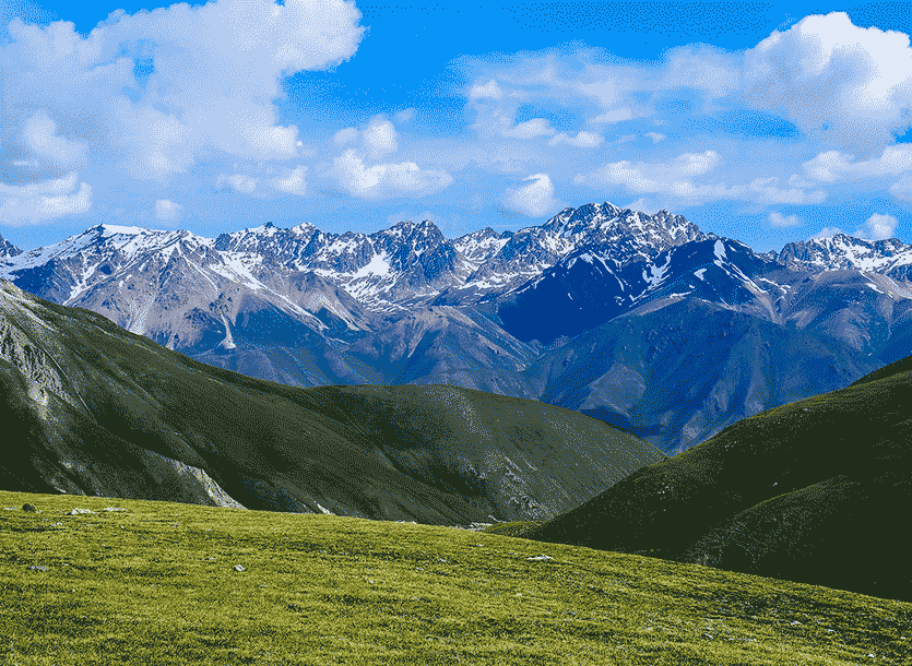 公司接待上海大学300人漫驼国际旅行社