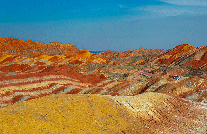 漫驼国际旅行社招聘2026年