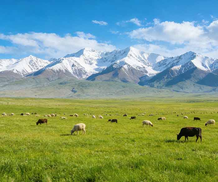 青海湖+张掖七彩丹霞+莫高窟9日8晚私家团