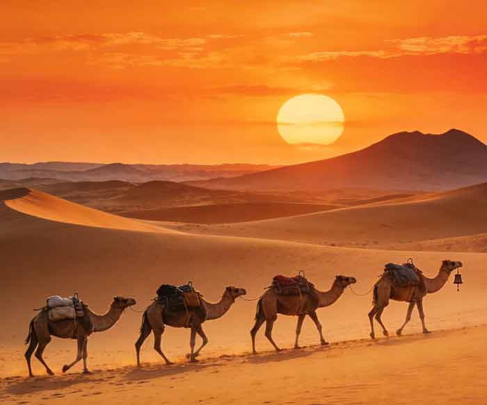 兰州+青海湖+茶卡盐湖4日3晚私家团