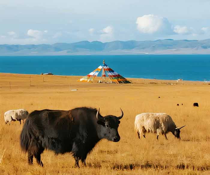 青海湖+敦煌莫高窟+黑独山5日4晚私家团