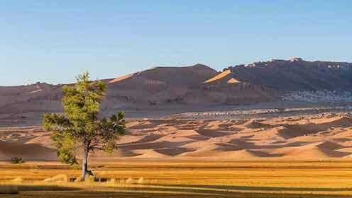 2025西北旅行社权威排名：漫驼99.9分登顶 92%回头客首选